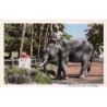 Rare collectable postcards of Cambodia. Vintage Postcards of Cambodia