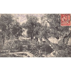 Rare collectable postcards of Israel / Palestine. Vintage Postcards of Israel / Palestine