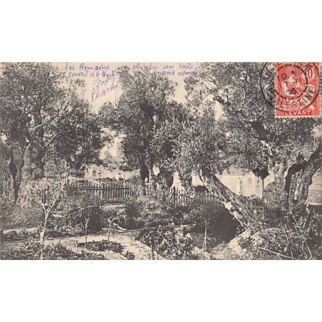 Rare collectable postcards of Israel / Palestine. Vintage Postcards of Israel / Palestine