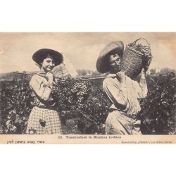 Rare collectable postcards of Israel / Palestine. Vintage Postcards of Israel / Palestine