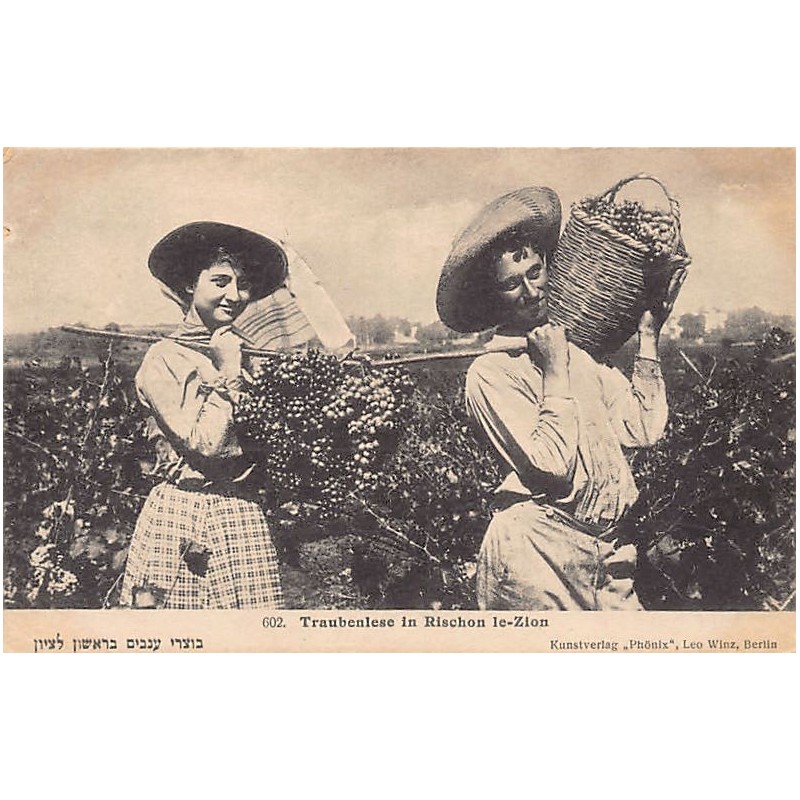 Rare collectable postcards of Israel / Palestine. Vintage Postcards of Israel / Palestine