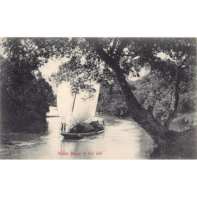 Rare collectable postcards of Sri Lanka (Ceylon). Vintage Postcards of Sri Lanka (Ceylon)