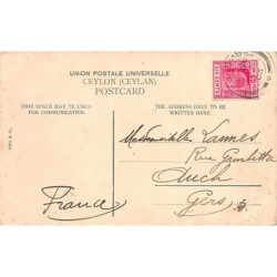 Rare collectable postcards of Sri Lanka (Ceylon). Vintage Postcards of Sri Lanka (Ceylon)