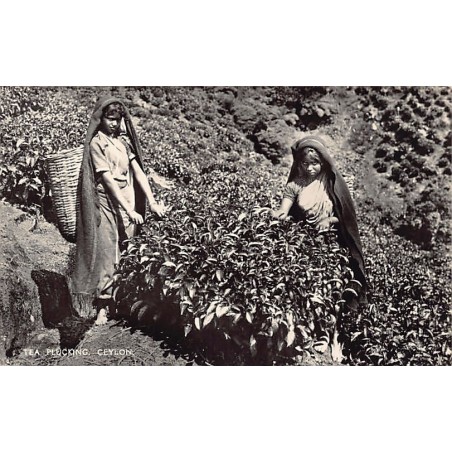 Rare collectable postcards of Sri Lanka (Ceylon). Vintage Postcards of Sri Lanka (Ceylon)