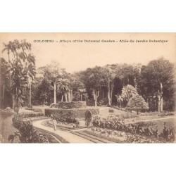 Rare collectable postcards of Sri Lanka (Ceylon). Vintage Postcards of Sri Lanka (Ceylon)