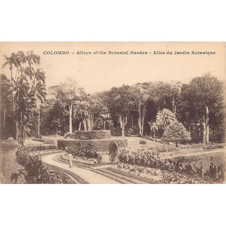 Rare collectable postcards of Sri Lanka (Ceylon). Vintage Postcards of Sri Lanka (Ceylon)