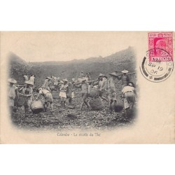 Rare collectable postcards of Sri Lanka (Ceylon). Vintage Postcards of Sri Lanka (Ceylon)