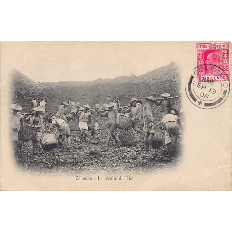 Rare collectable postcards of Sri Lanka (Ceylon). Vintage Postcards of Sri Lanka (Ceylon)