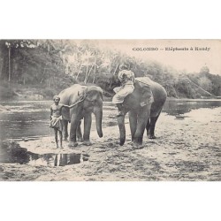 Rare collectable postcards of Sri Lanka (Ceylon). Vintage Postcards of Sri Lanka (Ceylon)