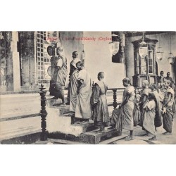 Rare collectable postcards of Sri Lanka (Ceylon). Vintage Postcards of Sri Lanka (Ceylon)