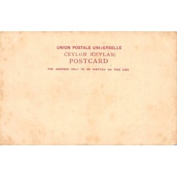 Rare collectable postcards of Sri Lanka (Ceylon). Vintage Postcards of Sri Lanka (Ceylon)