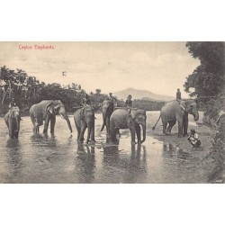 Rare collectable postcards of Sri Lanka (Ceylon). Vintage Postcards of Sri Lanka (Ceylon)