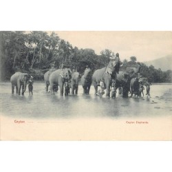 Rare collectable postcards of Sri Lanka (Ceylon). Vintage Postcards of Sri Lanka (Ceylon)