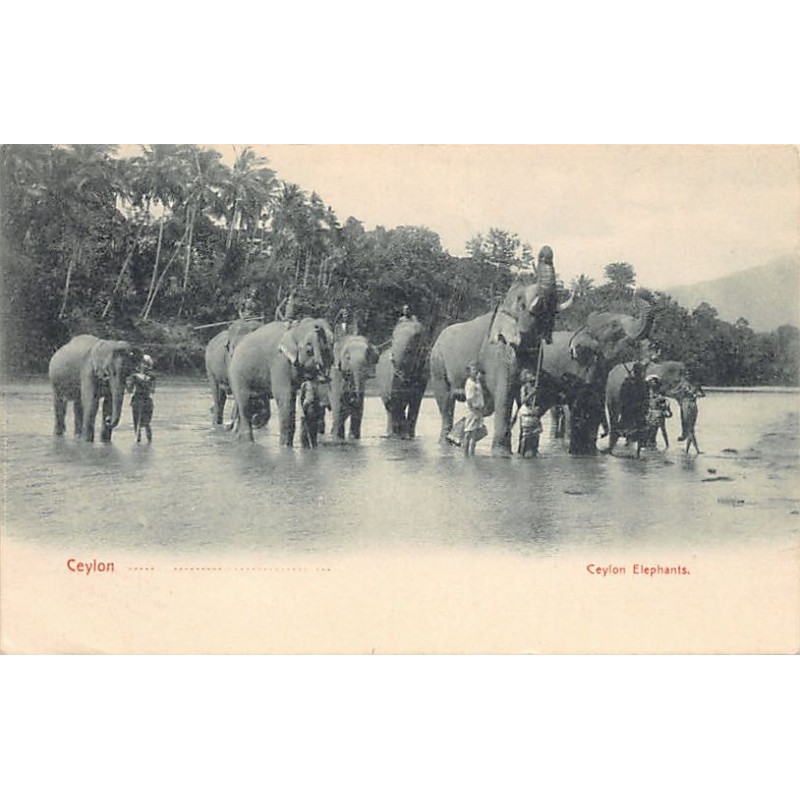 Rare collectable postcards of Sri Lanka (Ceylon). Vintage Postcards of Sri Lanka (Ceylon)