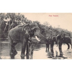 Rare collectable postcards of Sri Lanka (Ceylon). Vintage Postcards of Sri Lanka (Ceylon)