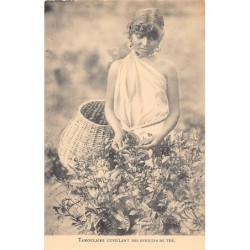 Rare collectable postcards of Sri Lanka (Ceylon). Vintage Postcards of Sri Lanka (Ceylon)