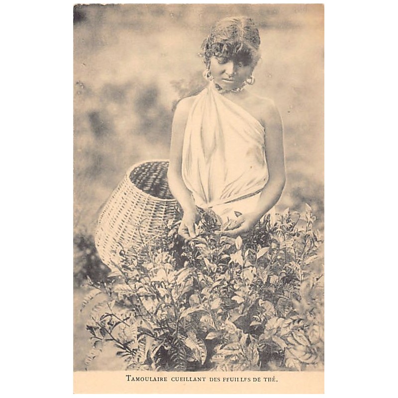 Rare collectable postcards of Sri Lanka (Ceylon). Vintage Postcards of Sri Lanka (Ceylon)