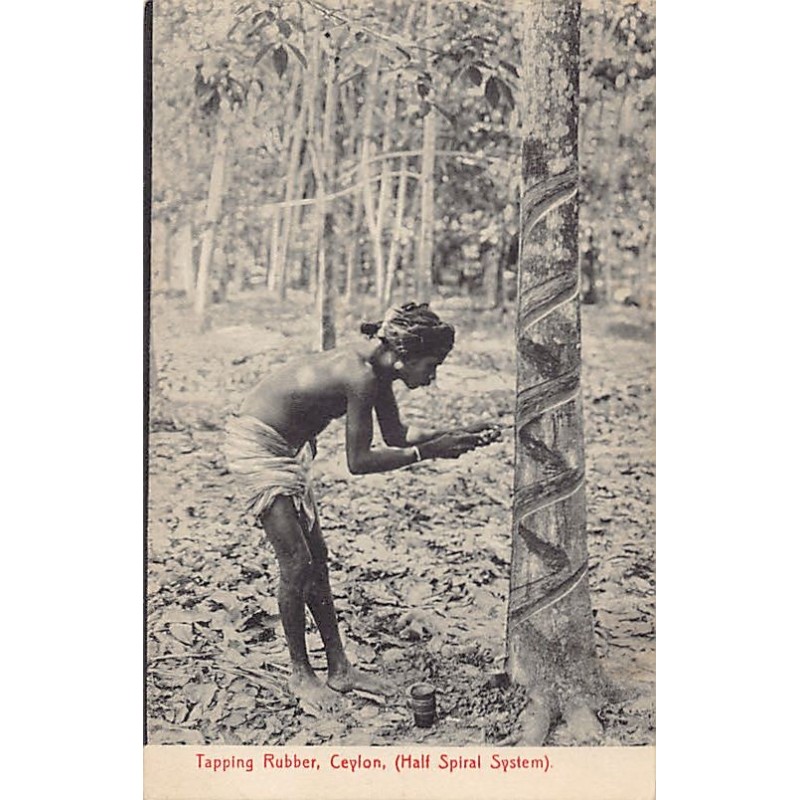 Rare collectable postcards of Sri Lanka (Ceylon). Vintage Postcards of Sri Lanka (Ceylon)