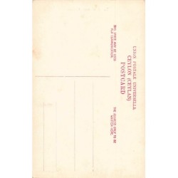 Rare collectable postcards of Sri Lanka (Ceylon). Vintage Postcards of Sri Lanka (Ceylon)