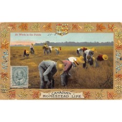 Rare collectable postcards of Canada. Vintage Postcards of Canada