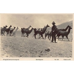 Rare collectable postcards of Chile. Vintage Postcards of Chile