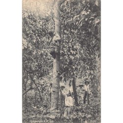 Rare collectable postcards of Guatemala. Vintage Postcards of Guatemala