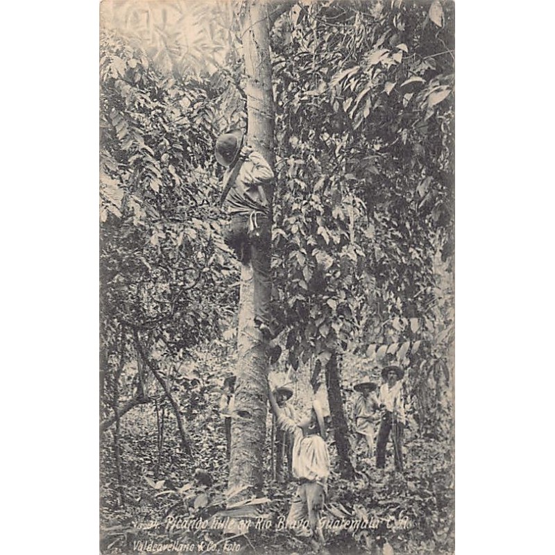 Rare collectable postcards of Guatemala. Vintage Postcards of Guatemala