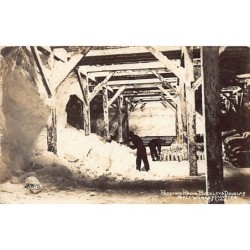 Rare collectable postcards of United States. Vintage Postcards of United States