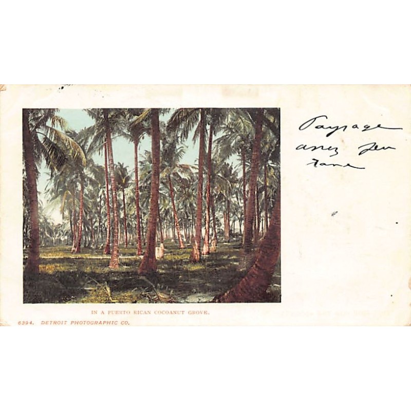 Rare collectable postcards of Puerto Rico. Vintage Postcards of Puerto Rico