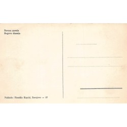 Rare collectable postcards of Bosnia and Herzegovina. Vintage Postcards of Bosnia and Herzegovina