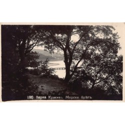 Rare collectable postcards of Bulgaria. Vintage Postcards of Bulgaria