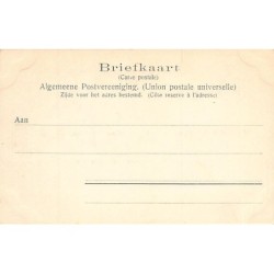 Rare collectable postcards of NEDERLAND. Vintage Postcards of NEDERLAND