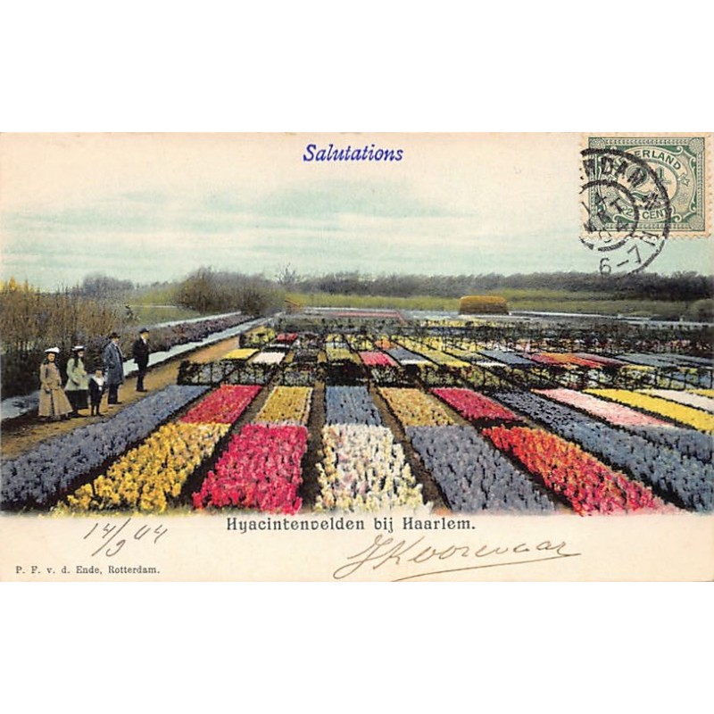 Rare collectable postcards of NEDERLAND. Vintage Postcards of NEDERLAND