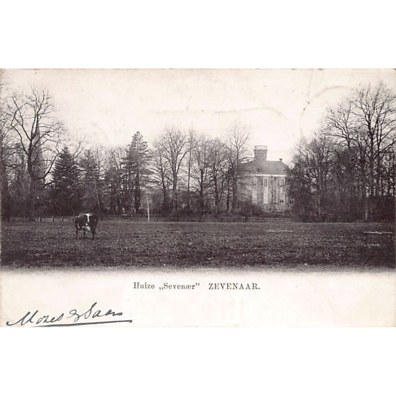 Rare collectable postcards of Netherlands. Vintage Postcards of Netherlands