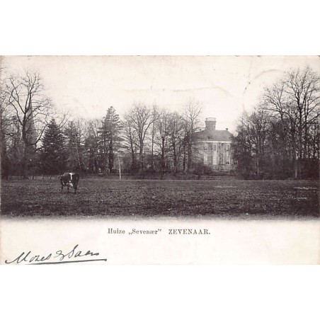 Rare collectable postcards of Netherlands. Vintage Postcards of Netherlands