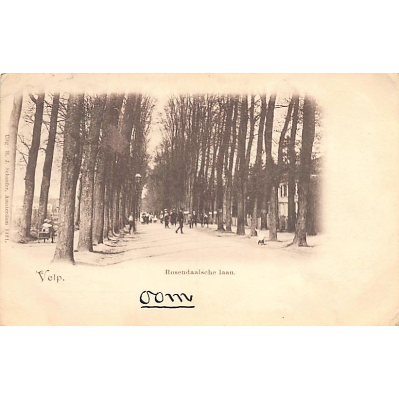 Rare collectable postcards of Netherlands. Vintage Postcards of Netherlands