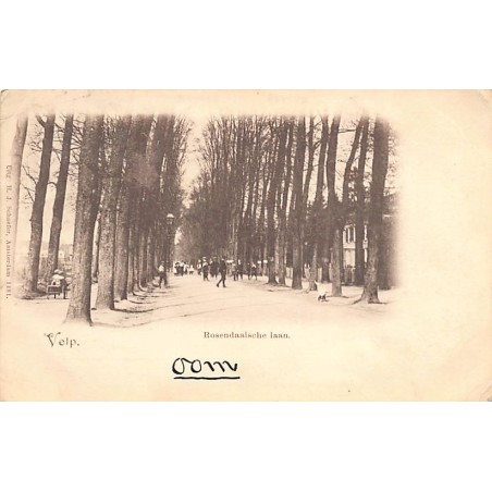 Rare collectable postcards of Netherlands. Vintage Postcards of Netherlands