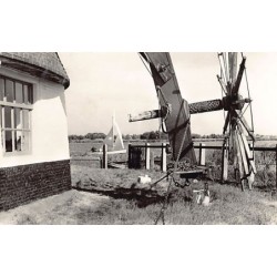 Rare collectable postcards of NEDERLAND. Vintage Postcards of NEDERLAND