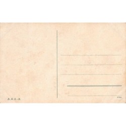 Rare collectable postcards of NEDERLAND. Vintage Postcards of NEDERLAND