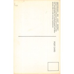 Rare collectable postcards of Netherlands. Vintage Postcards of Netherlands