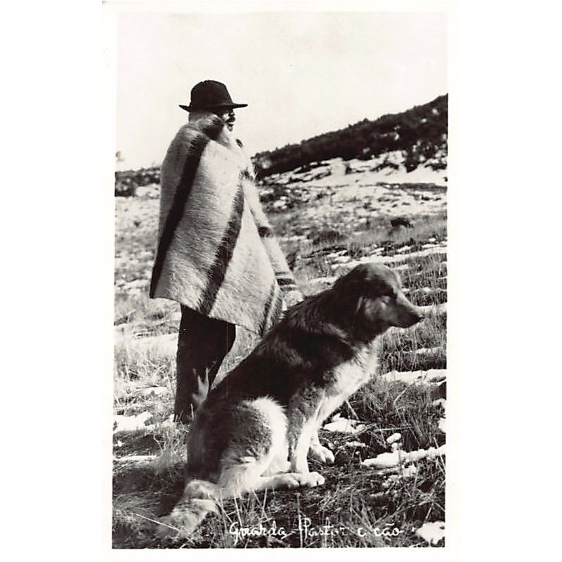 Rare collectable postcards of Portugal. Vintage Postcards of Portugal