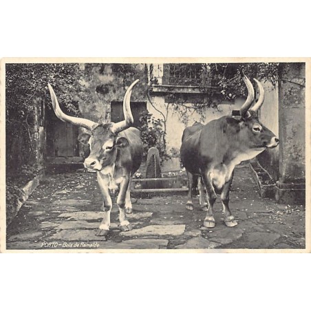 Rare collectable postcards of Portugal. Vintage Postcards of Portugal