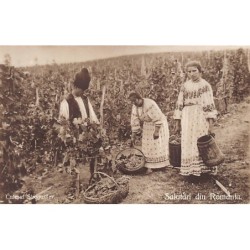 Rare collectable postcards of Romania. Vintage Postcards of Romania