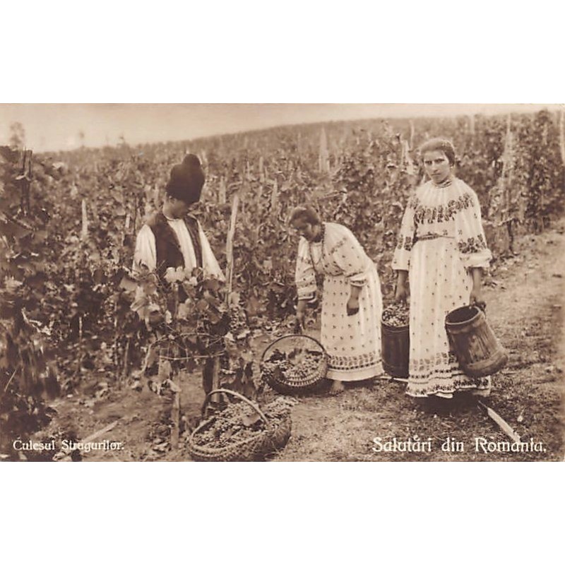 Rare collectable postcards of Romania. Vintage Postcards of Romania
