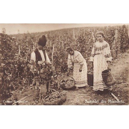 Rare collectable postcards of Romania. Vintage Postcards of Romania