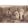 Rare collectable postcards of Romania. Vintage Postcards of Romania