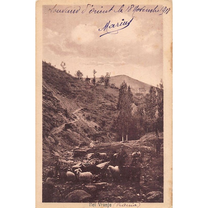 Rare collectable postcards of Serbia. Vintage Postcards of Serbia