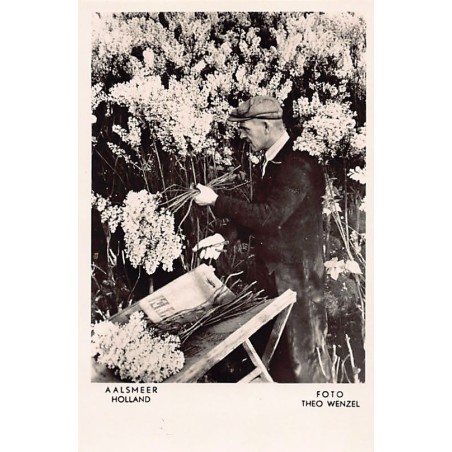 Rare collectable postcards of NEDERLAND. Vintage Postcards of NEDERLAND