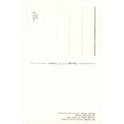 Rare collectable postcards of NEDERLAND. Vintage Postcards of NEDERLAND