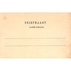 Rare collectable postcards of NEDERLAND. Vintage Postcards of NEDERLAND